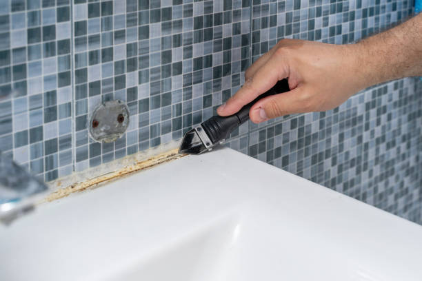Best Professional Mold Removal  in Loretto, PA